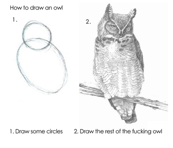 1. Draw some circles. 2. Draw the rest of the fucking owl
